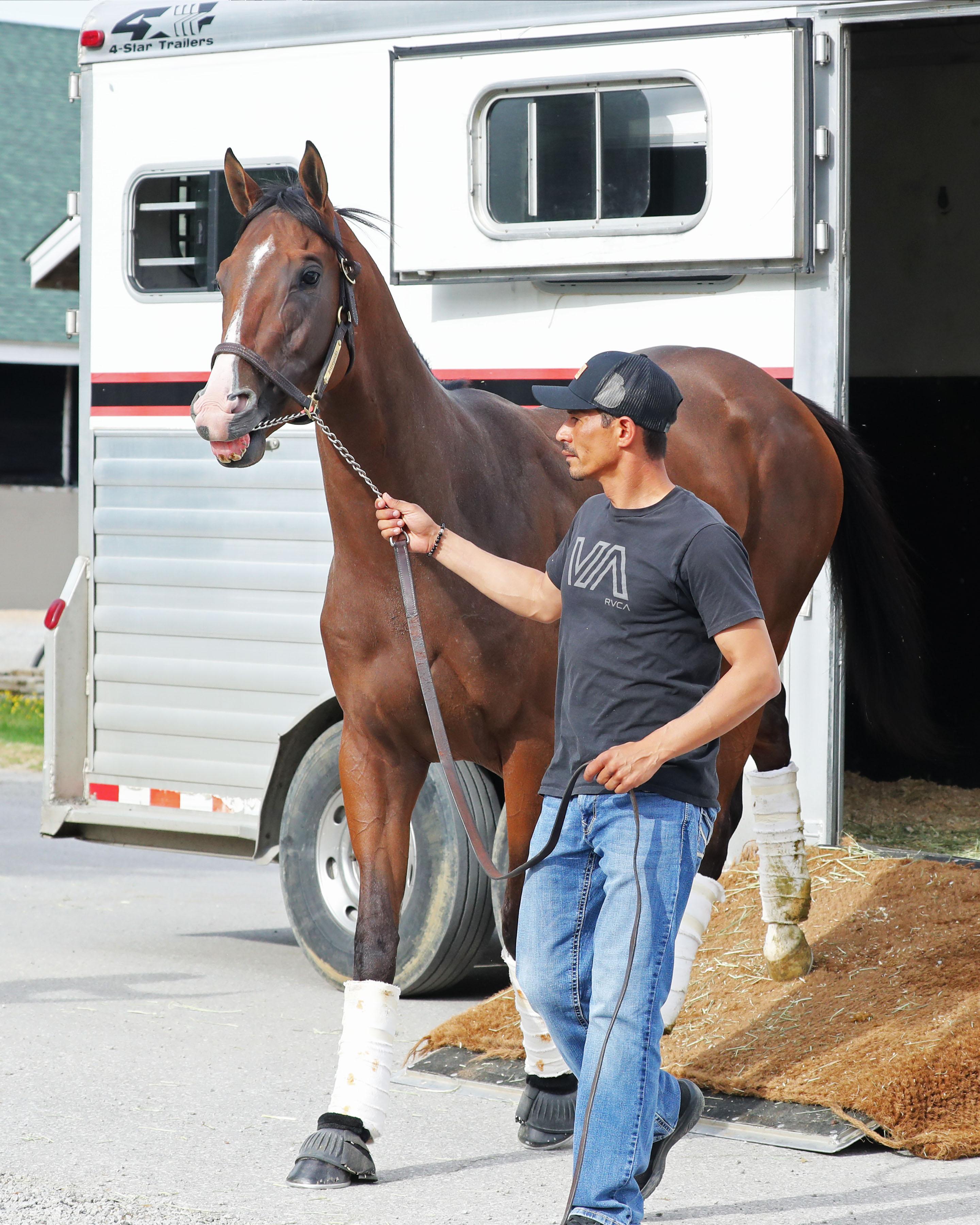 Intrepido, Triple Crown, Kentucky Derby, Churchill Downs, horse racing, America's Best Racing, ABR